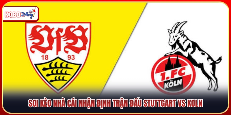 Dự đoán tỷ lệ cược màn đụng độ Stuttgart vs Koln